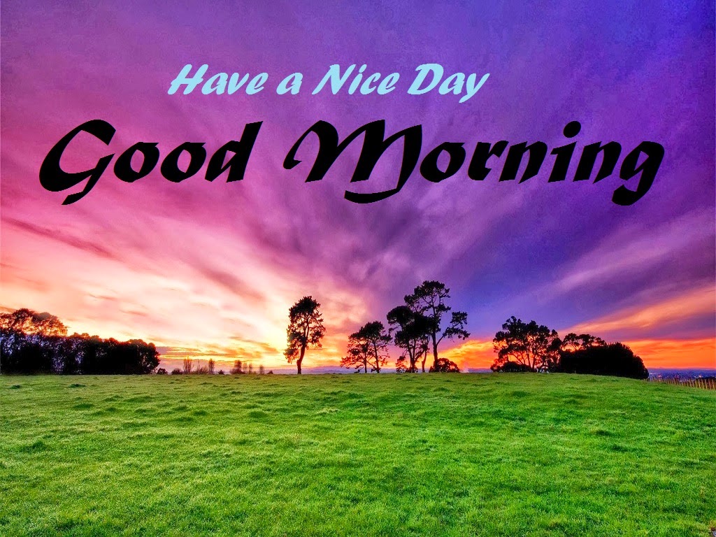 Really good morning. Открытки с добрым утром красивые на английском языке. Доброе утро Африка. Good morning картинки. Good morning World картинки.