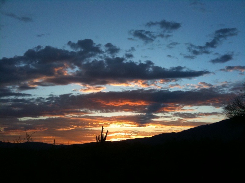 Sunrise at Saguaro NP
