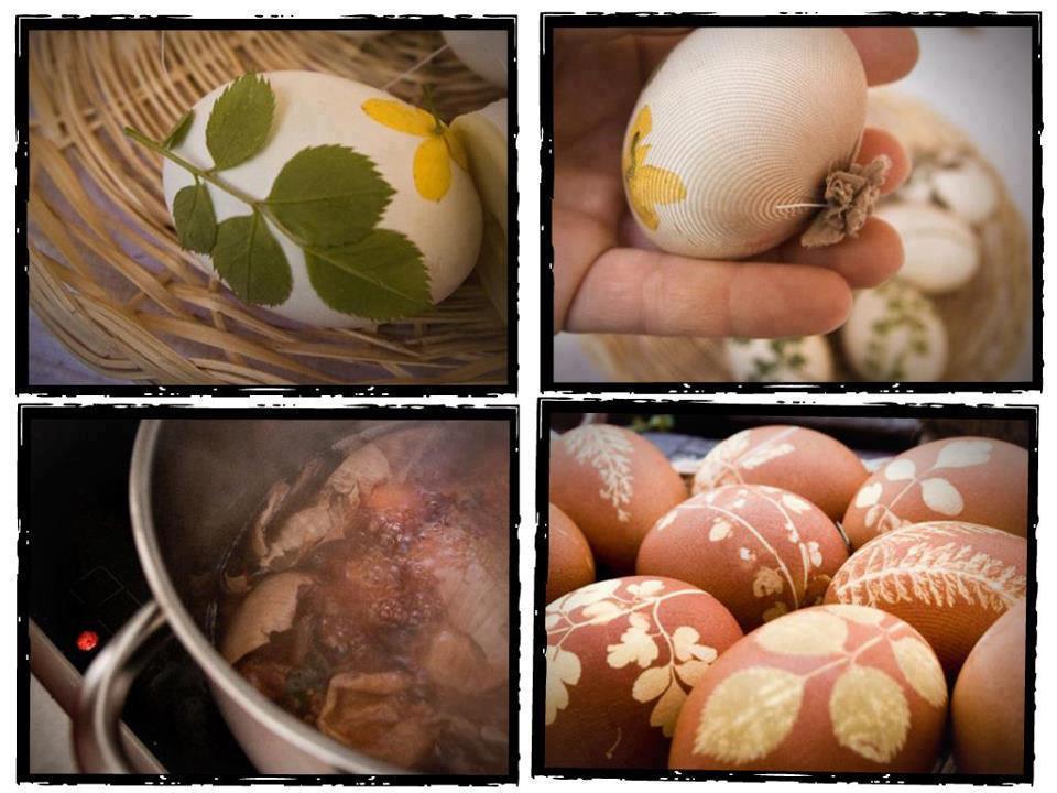 صور بيض ملون لشم النسيم طريقة تلوين البيض (22)